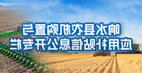 网络赌博平台
